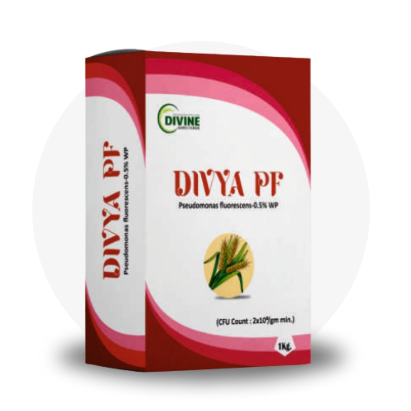 Divya PF
